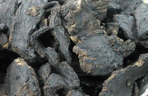 生地黄和熟地黄的区别 湿气重吃生地还是熟地