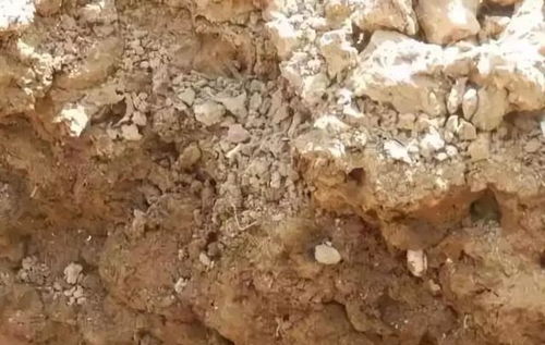 田园土加沙子反而更硬了 园土加沙子会透气吗