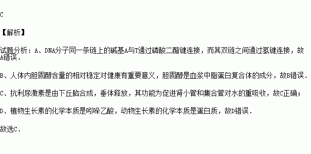 生长素的本质是蛋白质吗 生长素本质是什么物质