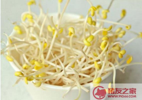生黄豆芽的方法步骤 怎样发黄豆芽又快又简单