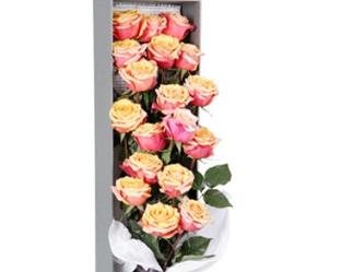 男人送香槟玫瑰是不是表白 香槟玫瑰为啥不能随便送人