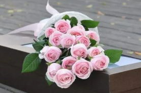 男人发狗尾草暗示什么 女生送男生狗尾草寓意