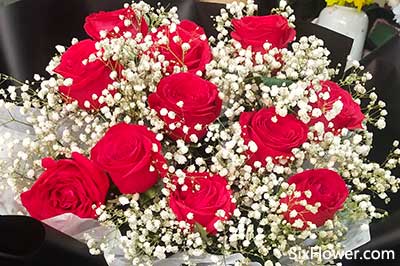 男人送九朵玫瑰代表什么 男人会轻易送9朵玫瑰吗