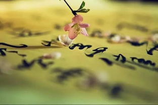 男人说且行且珍惜的心理 男人告诉你且行且珍惜