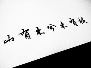 男生说山有木兮木有枝的含义 山有木兮木有枝是暗示你回头