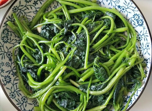 番薯叶需要焯水吗 红薯叶要焯水吗