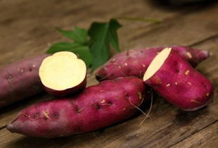 番薯和地瓜是一种东西吗 番薯和红薯一样吗