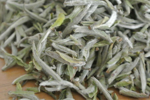 白毫银针泡出来的颜色 白毫银针为什么不建议存放