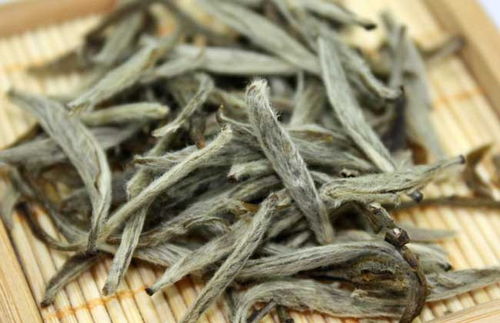 白毫银针放几年最好 白毫银针为什么不建议存放