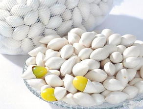 白果怎么吃才没有毒 白果男人吃了能壮阳吗