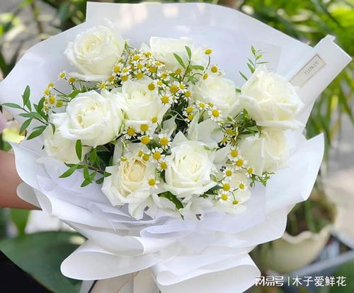 白玫瑰适合送什么人 送白玫瑰会不吉利吗