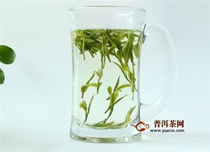 白茶是绿茶吗 白茶对人体好还是绿茶好