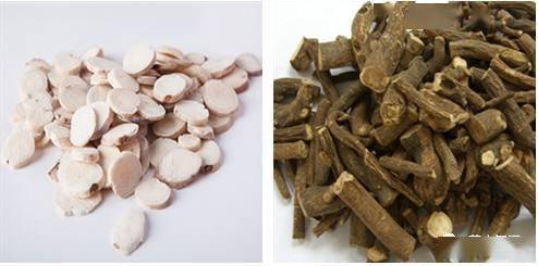 白芍与赤芍是一种植物吗 倪海厦说白芍赤芍是一种