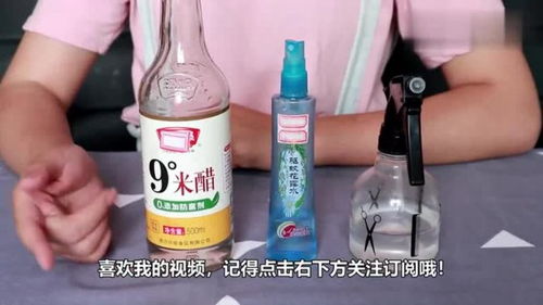 白醋浇花500克水加多少白醋 一斤水兑多少白醋