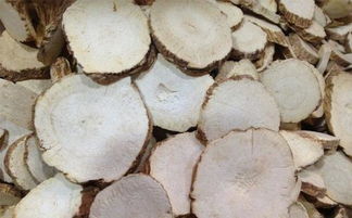 白芷是寒性还是热性 白芷是上火还是降火