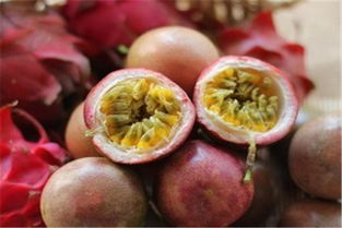 百香果的梗上发白毛了还能吃吗 百香果表皮长白毛打开又没事