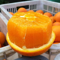 看病人提一箱奶合适吗 看病人寓意好的水果