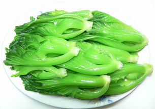 盖菜和芥菜的区别 盖菜跟芥菜是一个菜吗