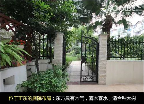 睡莲放院子东面还是西面 睡莲放在庭院哪个方位好