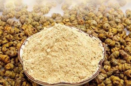 石斛年份越久越好吗 石斛粉放了七年还能吃吗