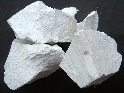 石灰会不会烧死植物 地下多年的石灰熟是不是能把树烧死