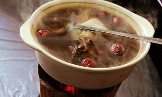 石橄榄煲汤最佳搭配窍门 广东橄榄汤煲汤大全