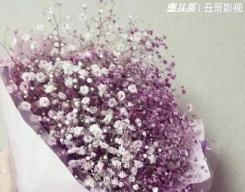 碎冰蓝玫瑰真正的花语 碎冰蓝玫瑰不能随便送人