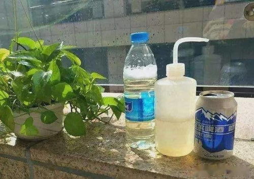 磷肥可以兑水浇吗 磷肥可以用水稀释吗