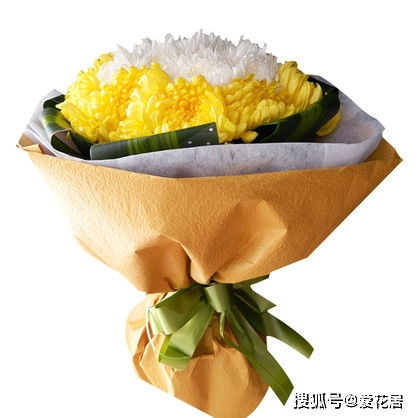 祭奠老人菊花一般几朵 祭奠菊花11支好还是9支好