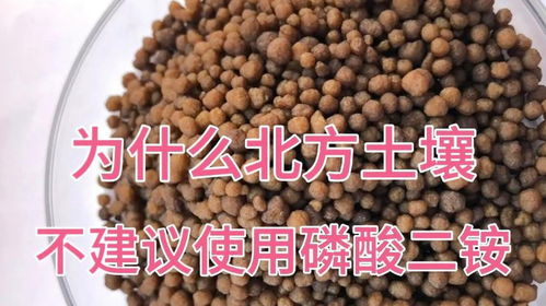 磷酸二铵对土壤危害 磷酸二铵使用禁忌