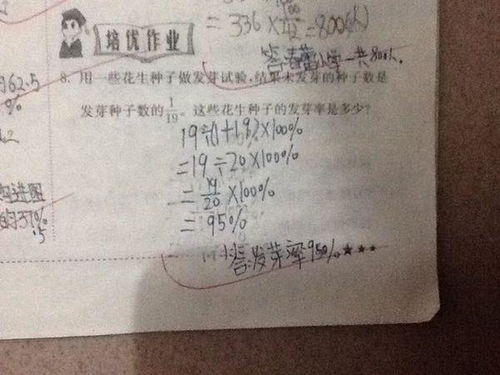 种子发芽过程 种子发芽实验报告单图片