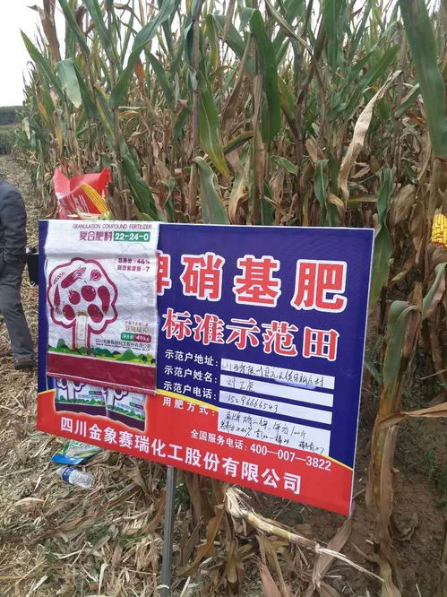 种玉米只用二铵行不行 种玉米一次性施二铵行吗