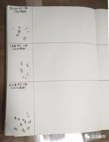 种子发芽观察记录七天 种子生长过程记录作业