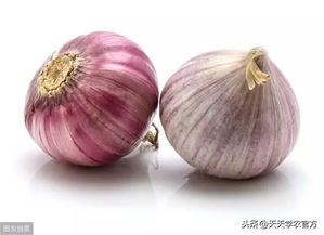种独头蒜的最佳时间 怎么才能种出独头蒜