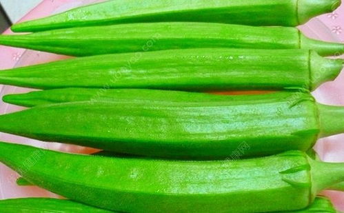 秋葵整个焯水还是切开 秋葵焯水的正确步骤