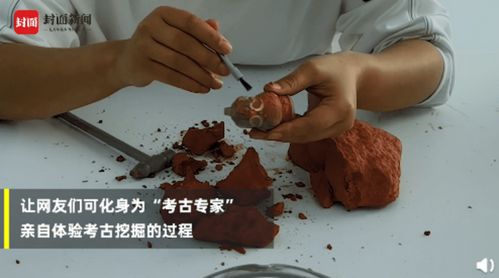 种子是什么意思网络用语 种子怎么转换成链接