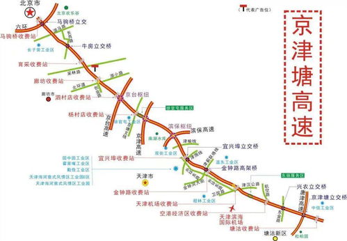 种子的一生四个阶段 种子生长的五个阶段