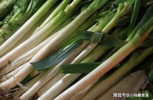 种葱种子的方法 和步骤 撒葱籽的正确做法