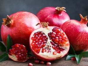 突尼斯石榴是四川哪里的 突尼斯石榴怎样抗寒