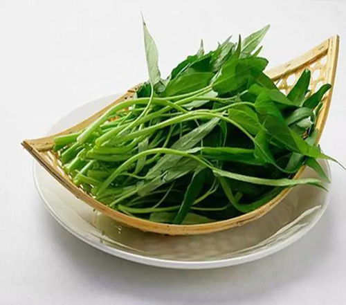 空心菜立秋后可以种吗 空心菜9月份还能种吗