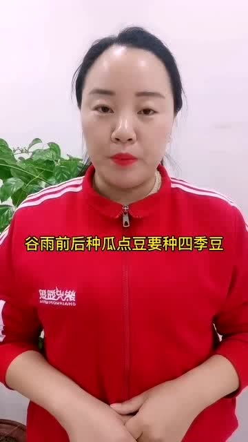 种菜口诀 顺口溜 24节气种菜口诀