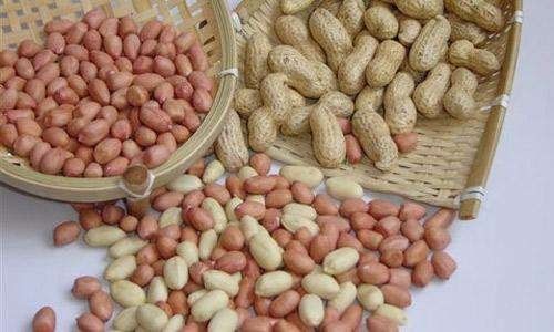 立秋后花生停止生长吗 立秋多久收花生
