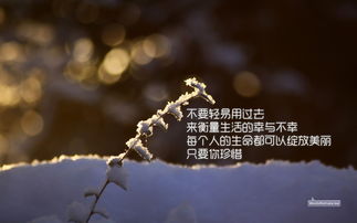 竹子领悟做人的道理 竹子的启示人生感悟