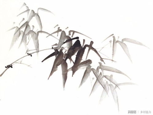 竹子是花还是草 竹子是花吗为什么是花中四君子