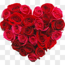 粉玫瑰是染色的吗 染色枚瑰的意思是什么