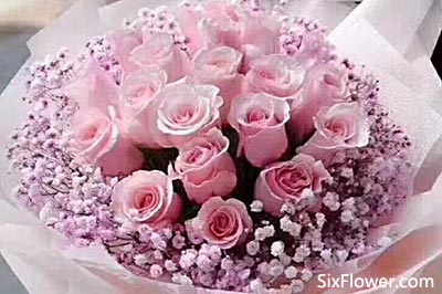 粉玫瑰的含义 粉玫瑰适合送什么人