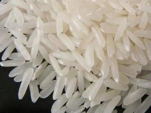 粳为什么很多人读geng 粳米为何专家念geng