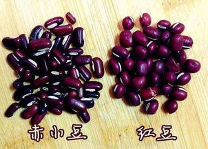 红小豆和赤小豆哪个除湿效果好 夏季吃红豆还是赤小豆