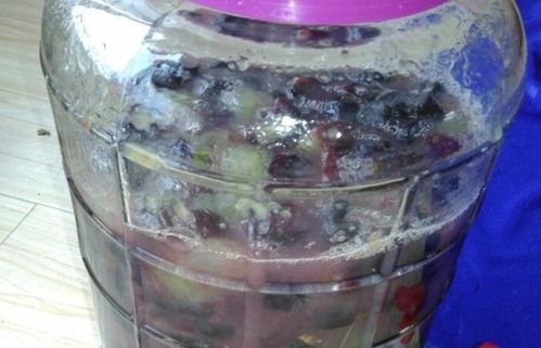 红糖和酵母粉几天能发酵好 红糖酵母液兑水比例