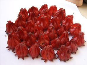 红桃k和洛神花一样吗 洛神花真的可以祛斑吗